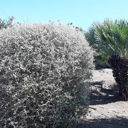 Casa Logos - Private Pool Stintino